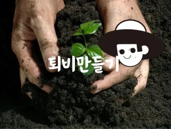 농사 퇴비 만들기 낙엽 음식물 왕겨 EM발효 쉬운 방법_5