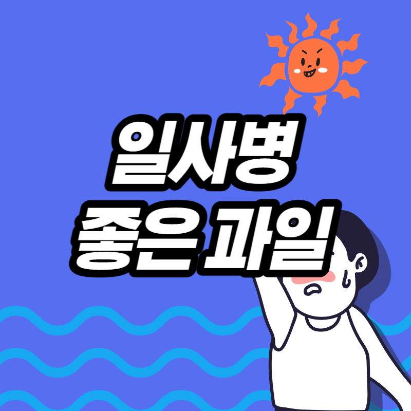 일사병에 좋은 과일