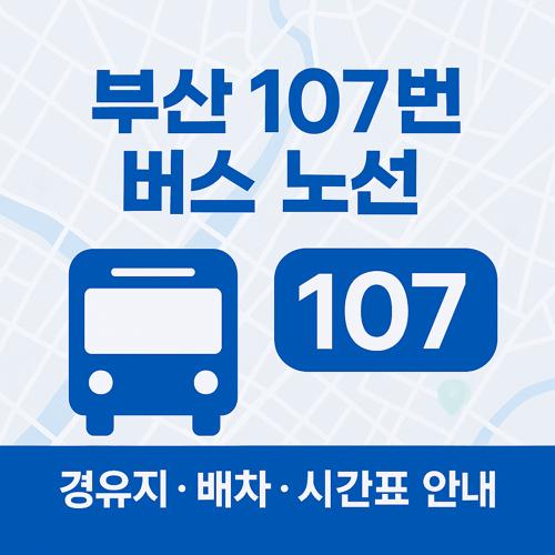 부산 107번 버스 노선 섬네일