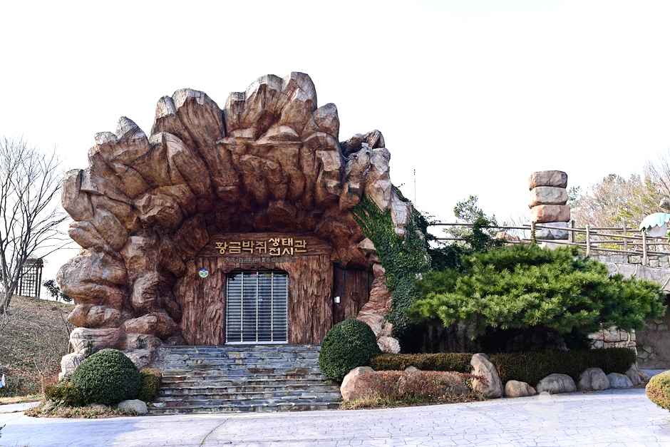 황금박쥐생태전시관