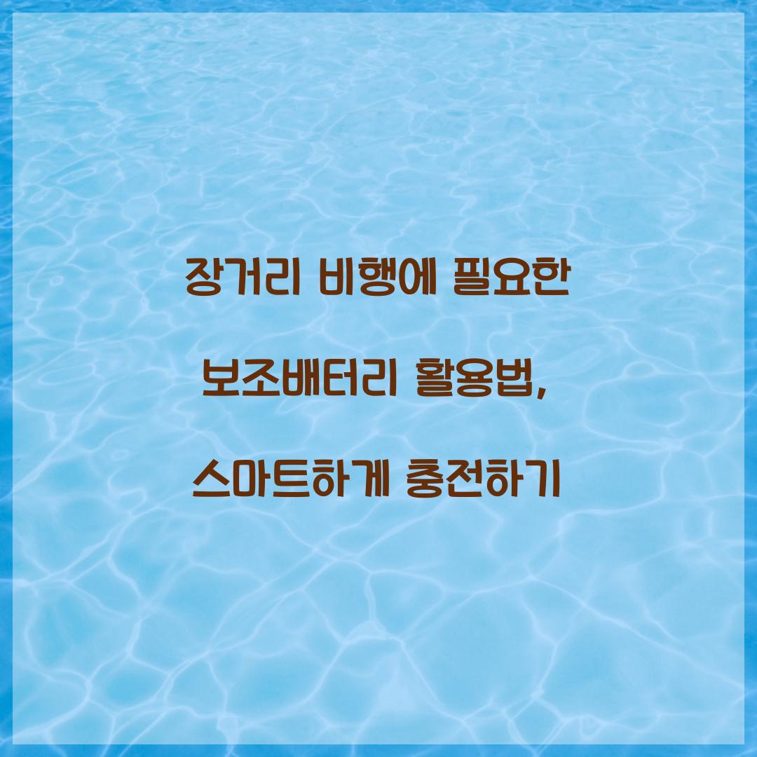 장거리 비행에 필요한 보조배터리 활용법