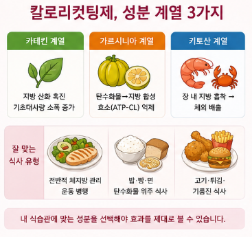 칼로리컷팅제-순위-효과-내돈내산-부작용-추천-제품