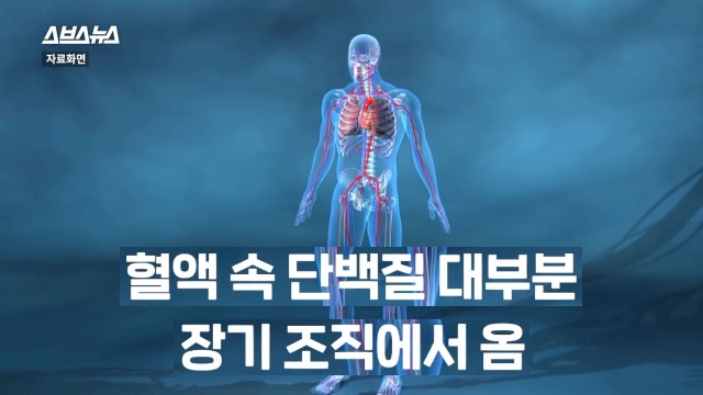 30대 후반 여성 급노화, 얼굴 주름살, 피부관리, 자기관리, 건강 뷰티 팁줌 매일꿀정보