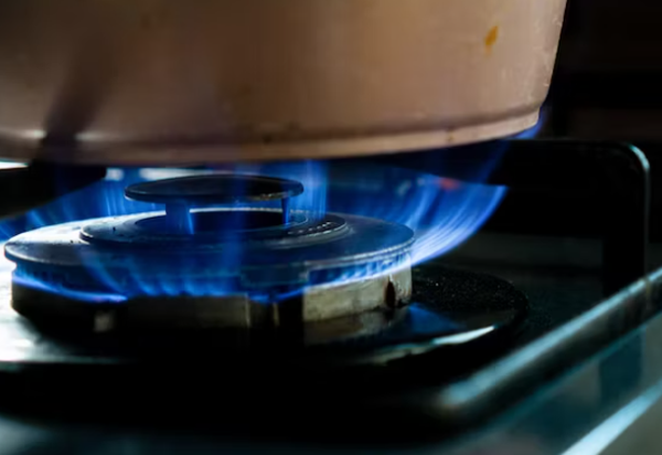 노로바이러스 전염