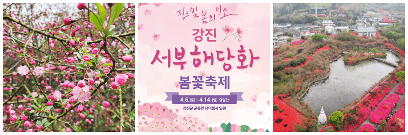 강진 서부해당화 봄꽃축제 포토, 포스터