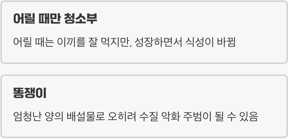 어항의 청소부? 플레코의 오해와 진실