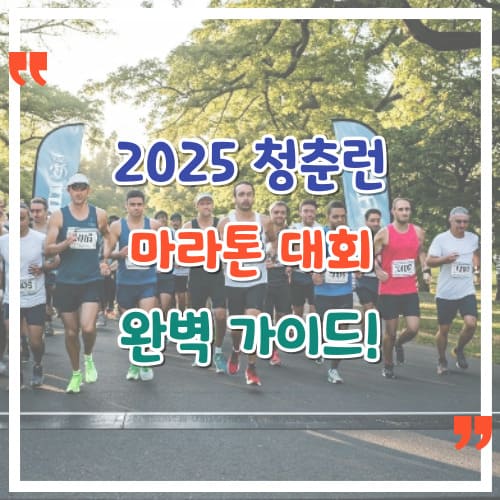 2025-청춘런-마라톤-대회-완벽-가이드