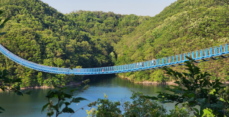 진천 출렁다리