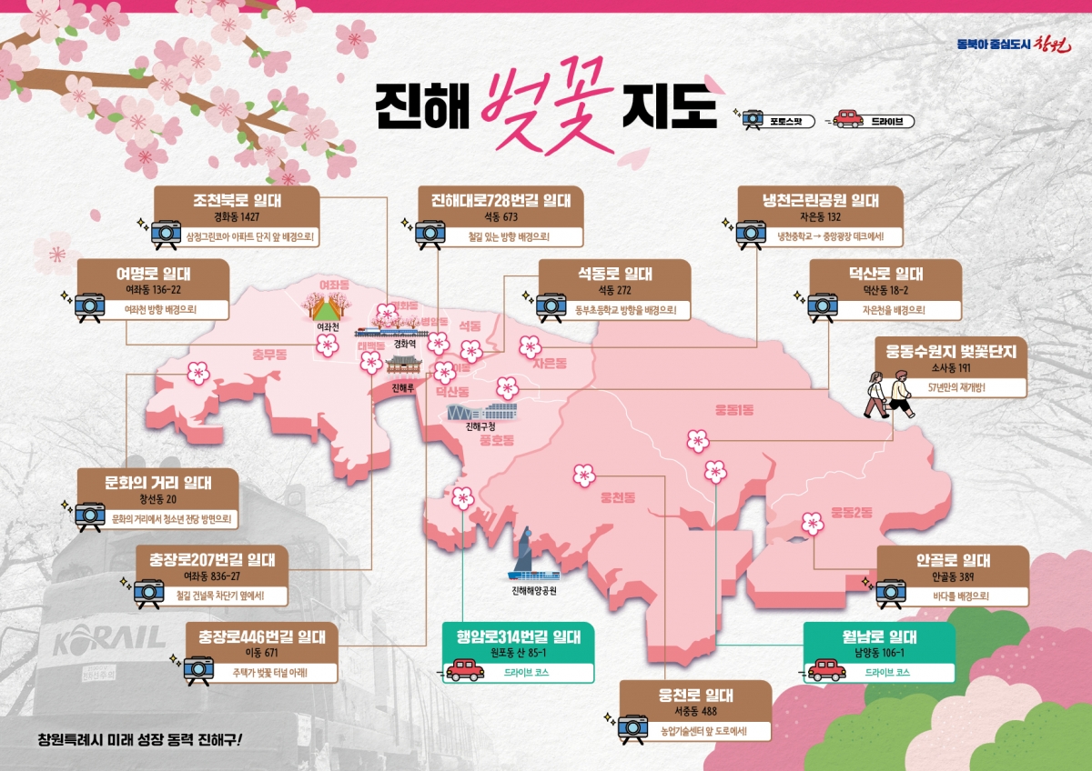 진해군항제벚꽃명소 관련사진