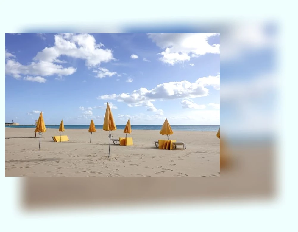 차량 햇빛 가리개_3_subsection