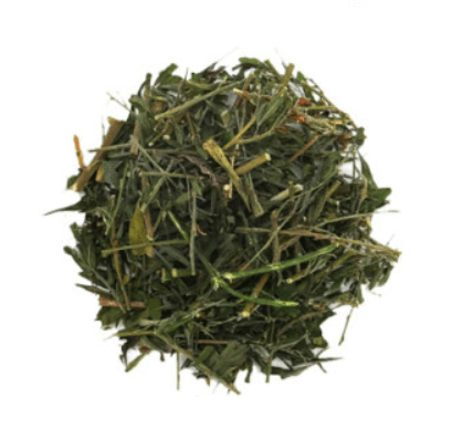 야관문 효능 채취시기 술 담그는 법 및 차 만드는 법 (비수리)