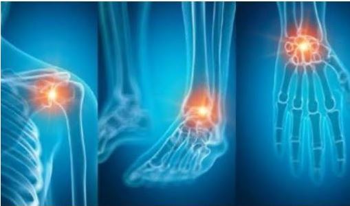 호관원-프리미엄-가격