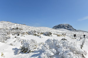 한라산 사전예약 방법