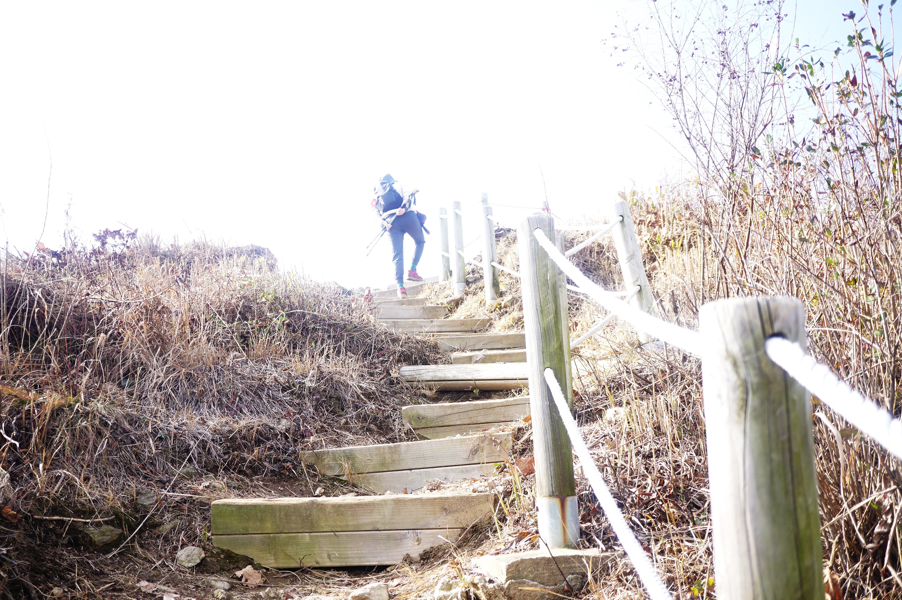 마지막 계단을 올라서는 여 1,