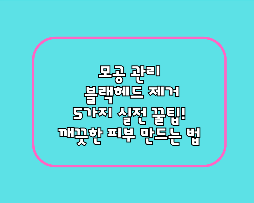 모공 관리와 블랙헤드 제거: 5가지 실전 꿀팁! 깨끗한 피부 만드는 법
