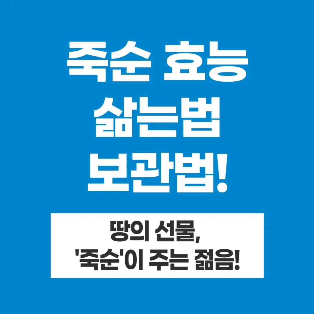 죽순 효능