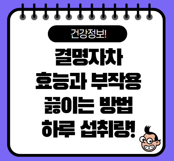 결명자차 효능 부작용 끓이는 방법 하루섭취량 확인!