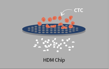 싸이토젠이 혈액 내에서 살아있는 CTC를 Isolation 하기 위해 개발한 HDM Chip(고밀도 미세공 칩)