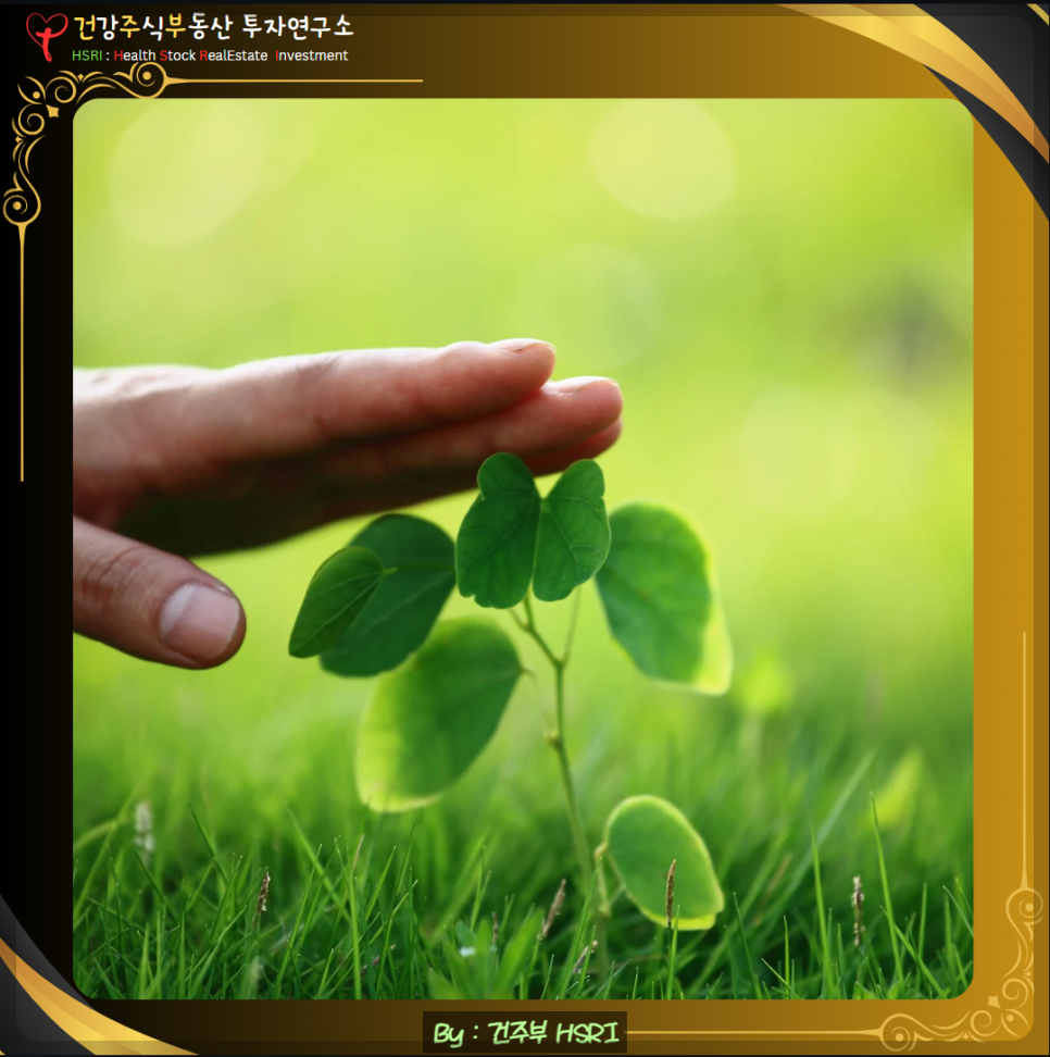 약한자와 함께 하시는 하나님을 통해 온전케 됨을 믿으세요
(글 그림 : 건주부, 그림 출처 : Canva)