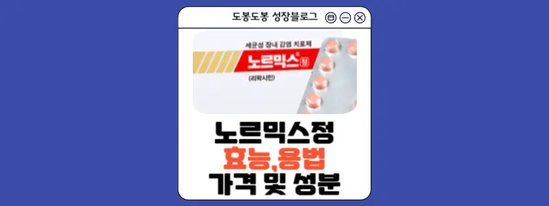 노르믹스정 안내 이미지