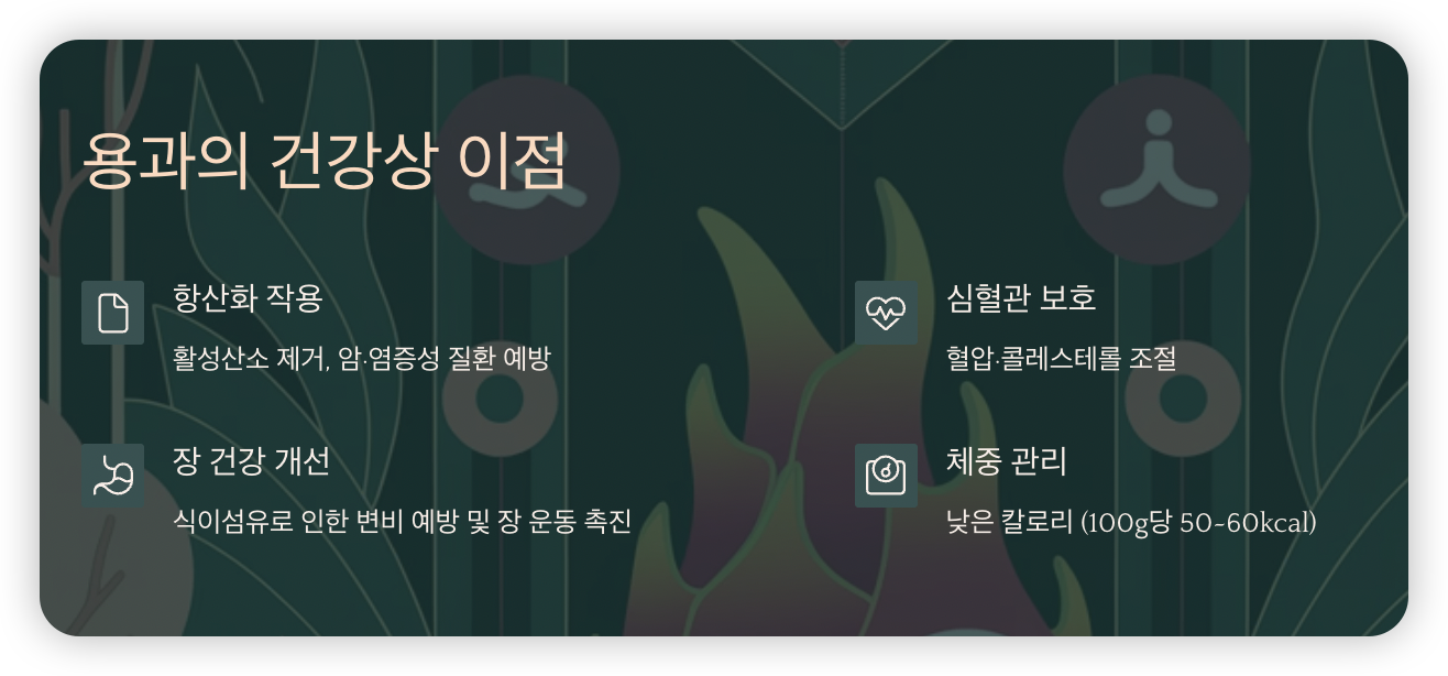 용과-건강상-이점