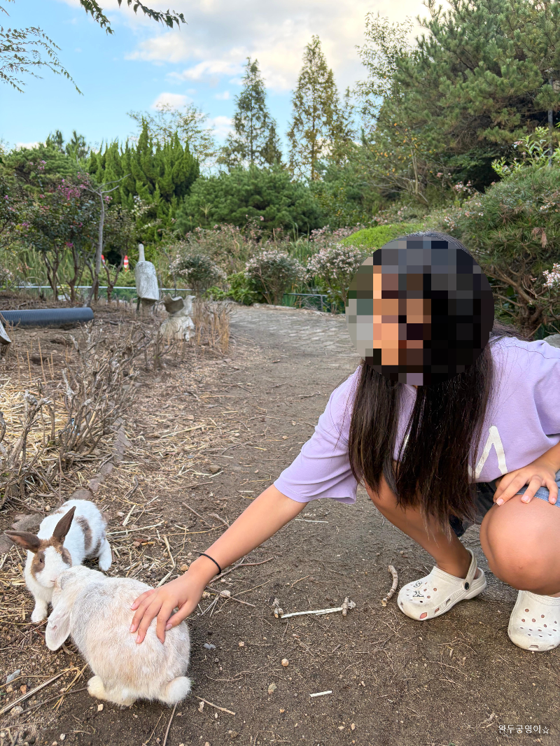 토끼 체험 공간에서 아이들이 토끼와 교감하는 모습