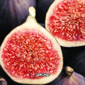 무화과 효능