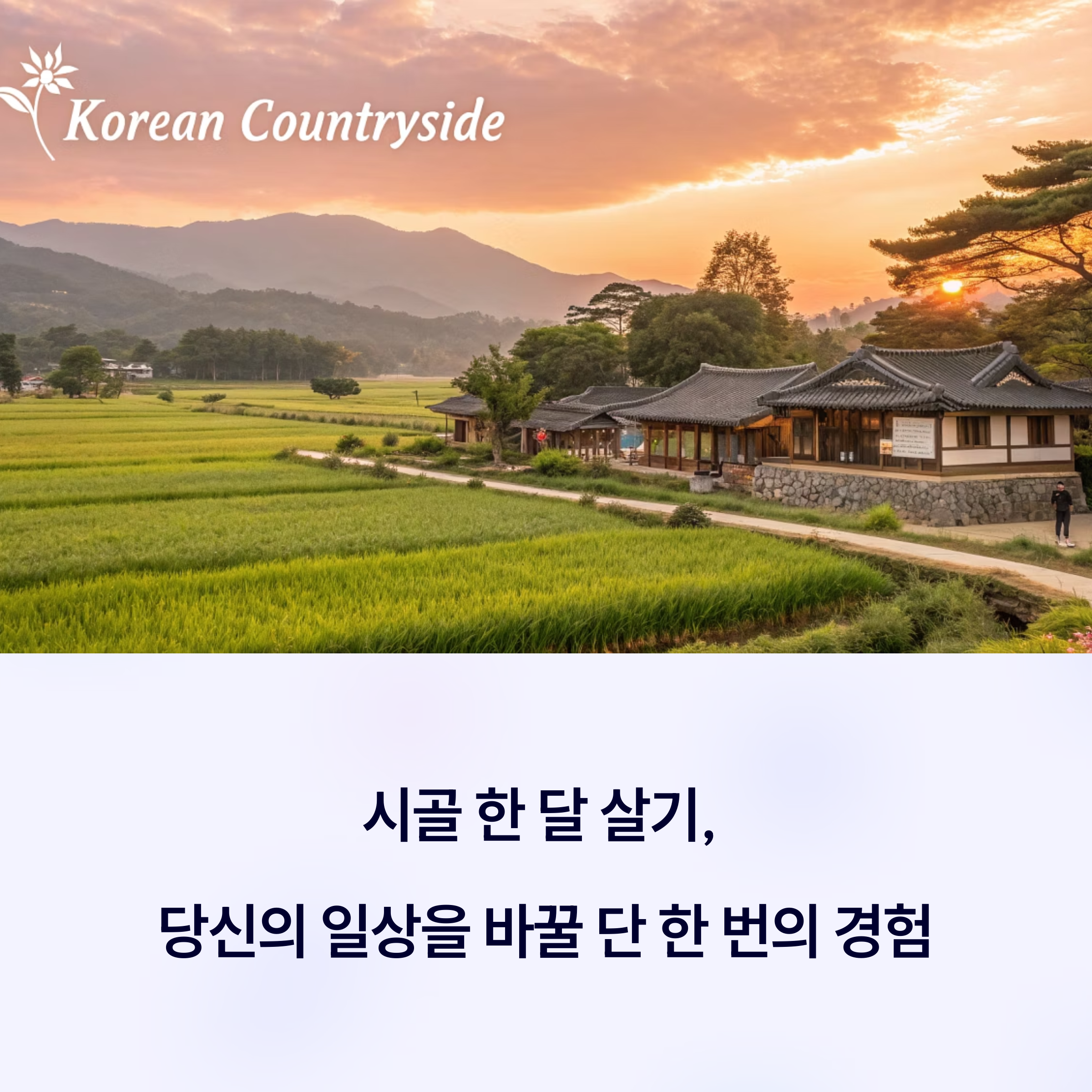 시골에서 한 달 살기, 진짜 삶을 만나는 시간