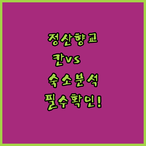 청양 정산향교 근처 숙소 추천 칸호텔..