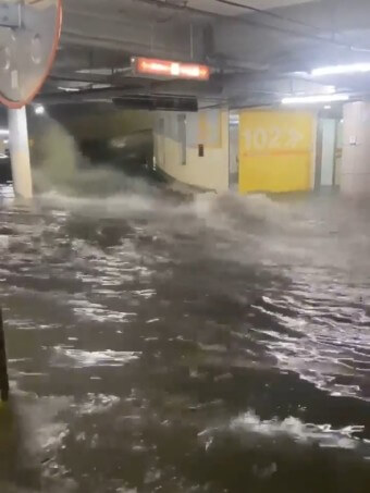 차량 침수 피해 보상 및 특별 점검 서비스