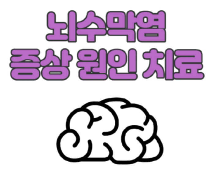 뇌수막염 원인 치료방법