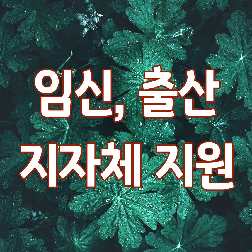 지자체 지원 임신 출산 혜택 알아보기