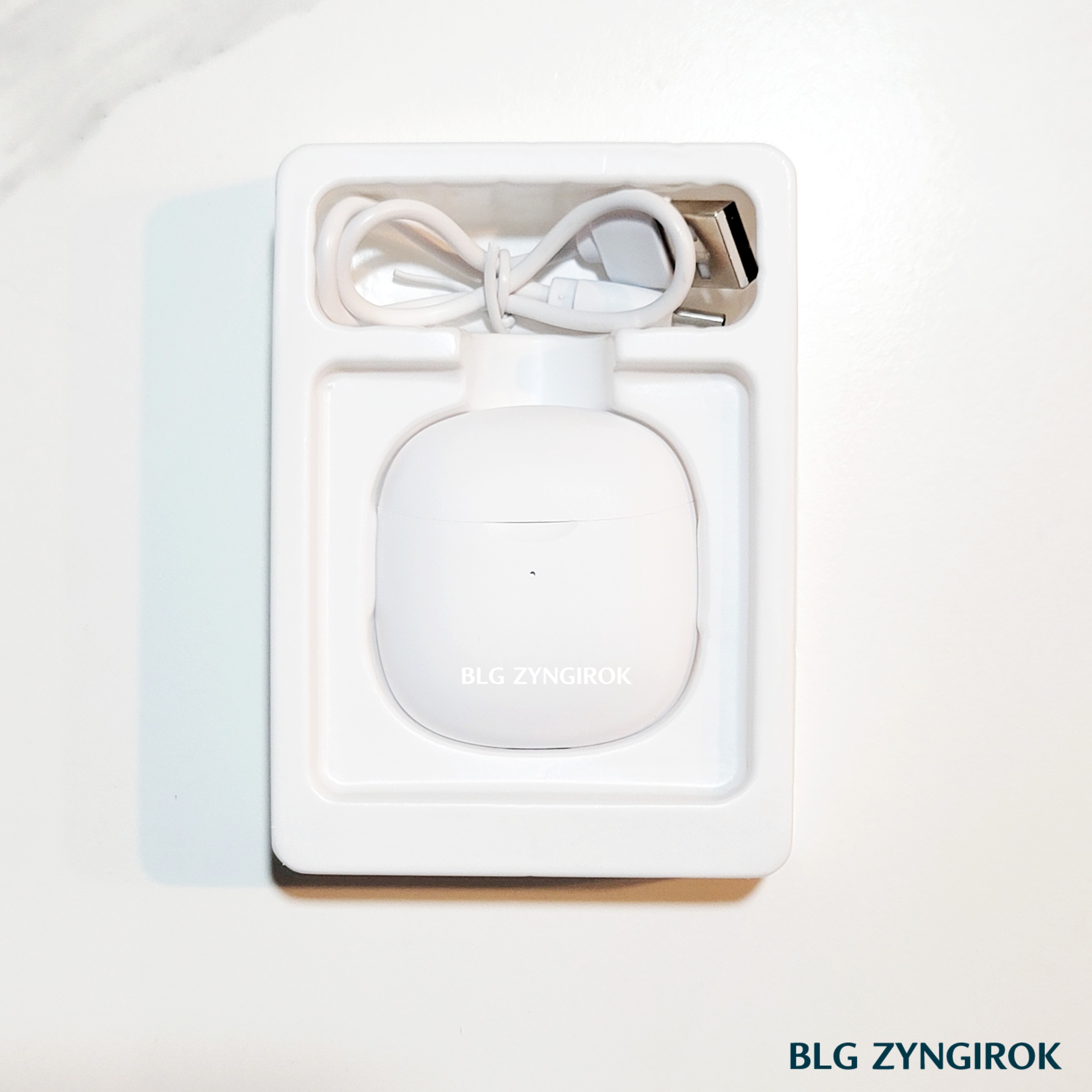 노브랜드 전자기기 : 무선 이어폰 구성품 모습이다. 충전 케이블과 본체가 담겨져 있는 모습이다.