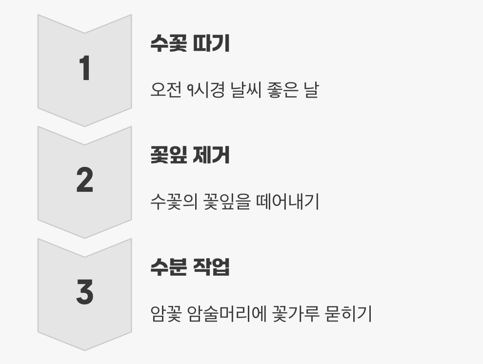 꽃은 피는데 열매가 안 열려요?