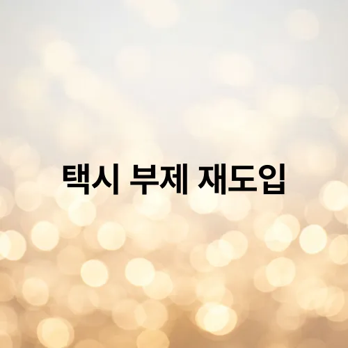 택시 부제 재도입