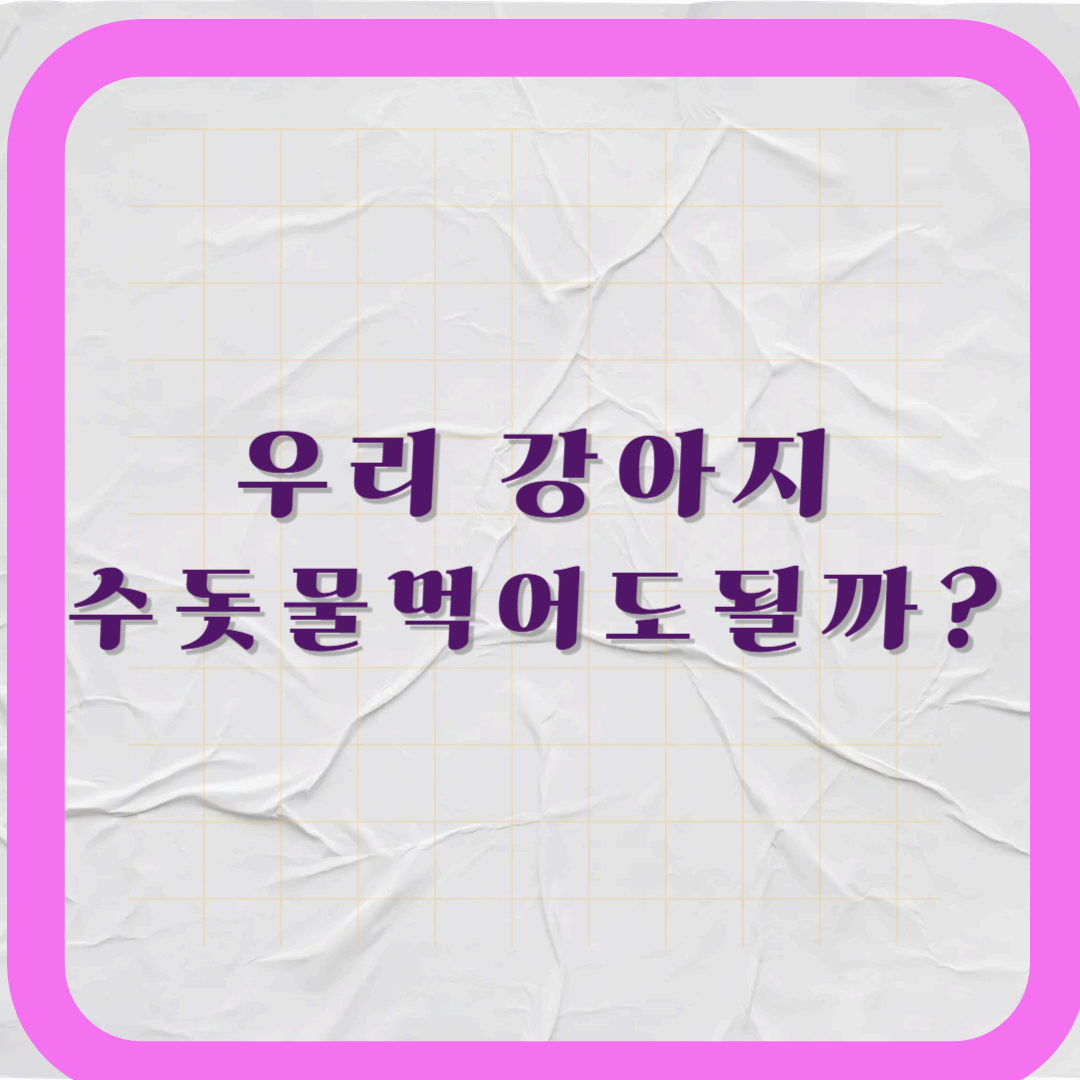 강아지에게 수돗물 먹여도 될까? 안전성과 주의사항 총정리