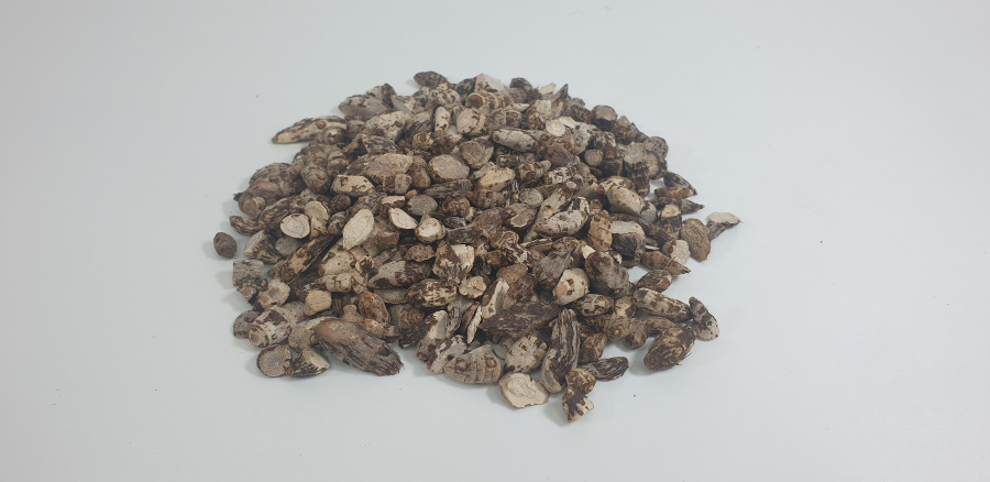 야생에서 채취를 한 향부자를 깨끗하게 세척을 한 후에 바싹 말린 것을 하얀 바닥 위에 수북하게 쌓아두고 찍은 사진