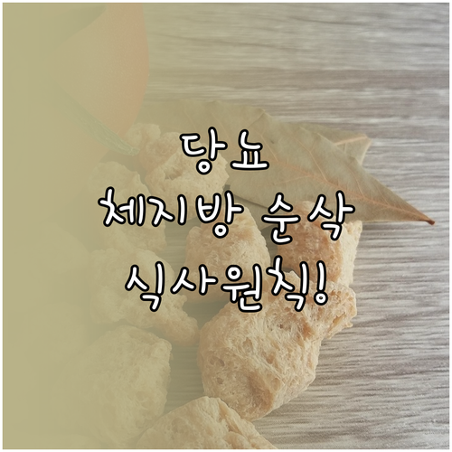 당뇨 환자를 위한 체지방 감량 식사 ..