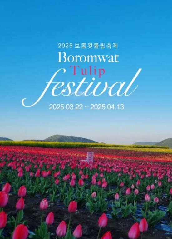 보롬왓튤립축제