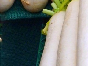 콜레스테롤 낮추는 음식