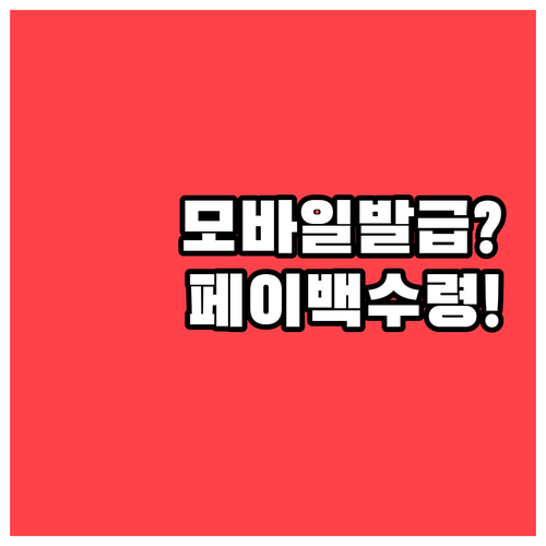 기후동행카드 모바일 발급부터 페이백 ..