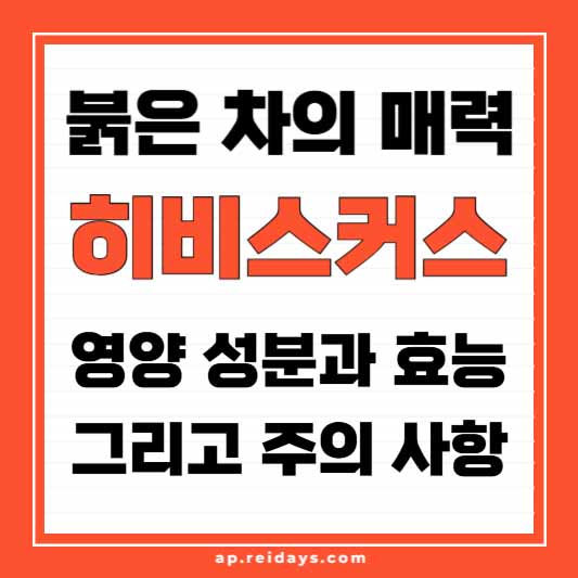 붉은 차의 매력 히비스커스차 영양 성분과 효능 그리고 주의 사항