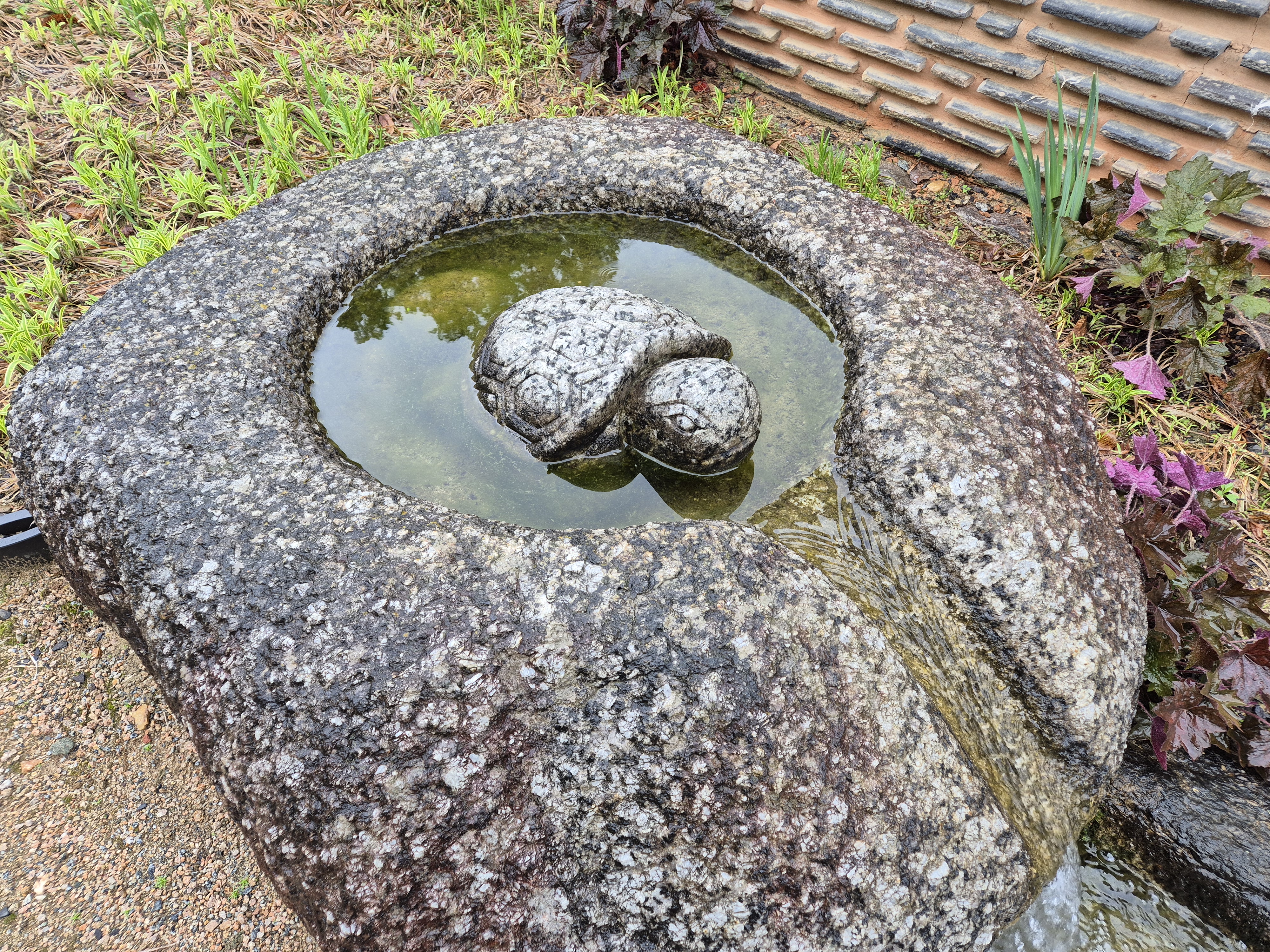 충북 음성 광명선원 거북이 석상