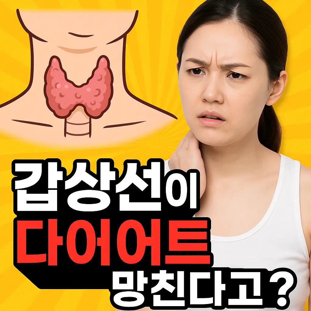 갑상선 기능 저하증과 항진증이 다이어트에 미치는 영향을 묻는 썸네일 이미지