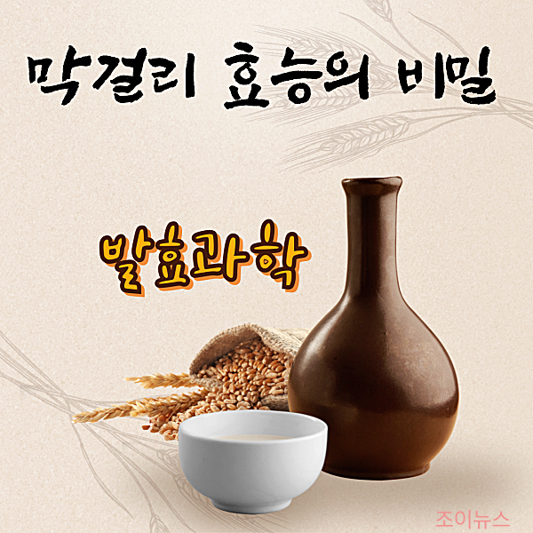 막걸리 효능의 비밀, 시간과 정성이 만드는 발효과학