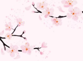 후쿠오카-벚꽃-개화시기-3