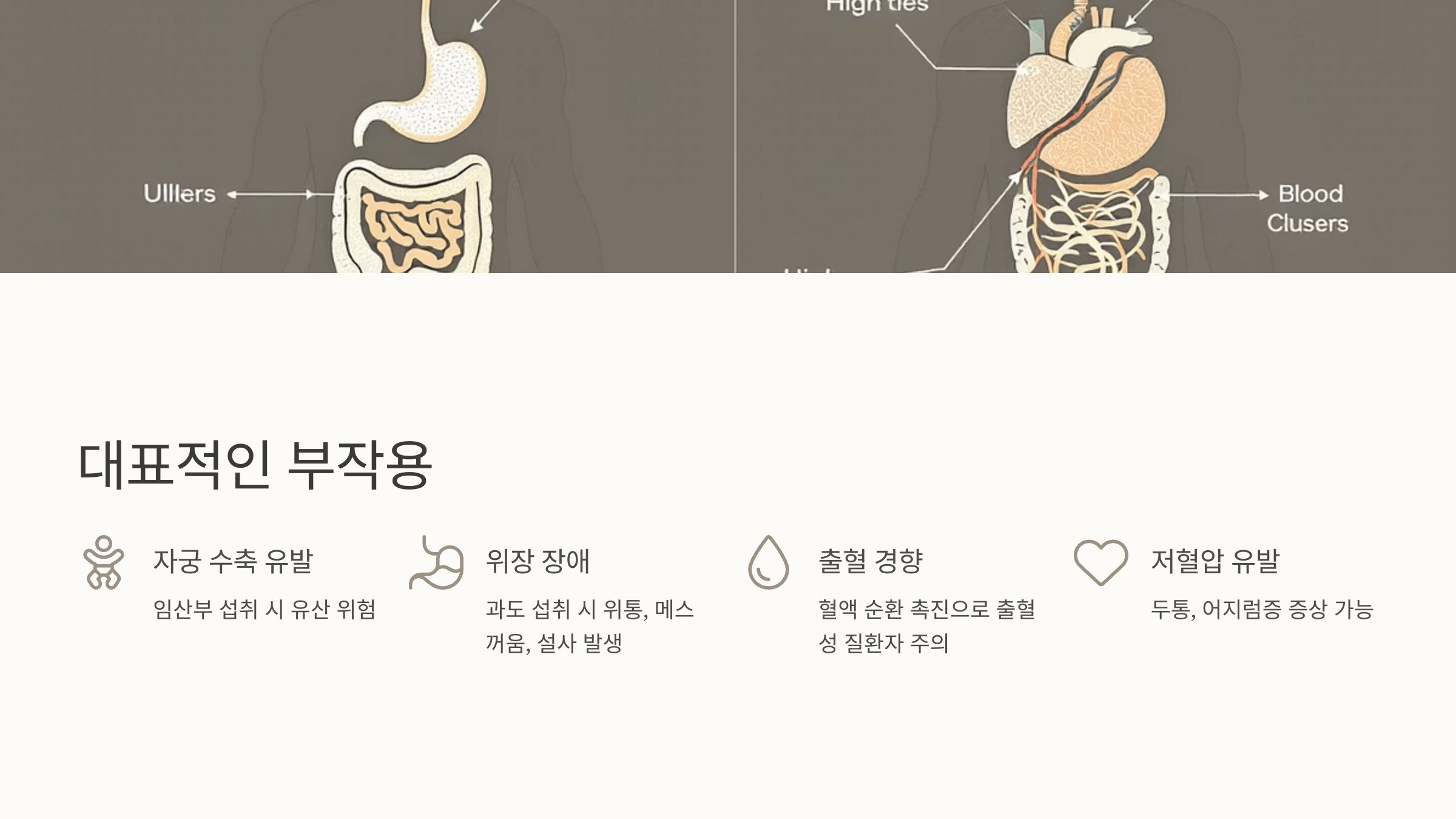 우슬뿌리 사진입니다.