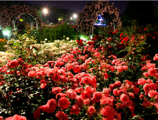 5월 국내여행지 베스트