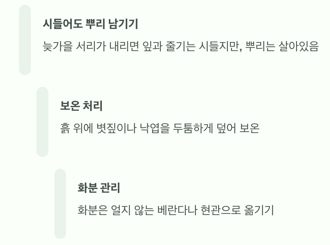 실패 없는 당귀잎 키우기 A to Z (씨앗부터 수확까지)