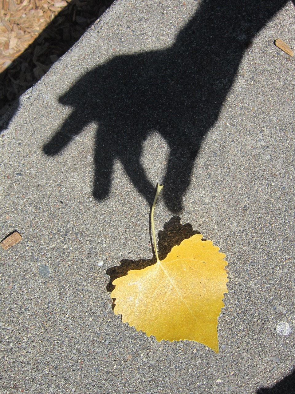산후조리사 자격증